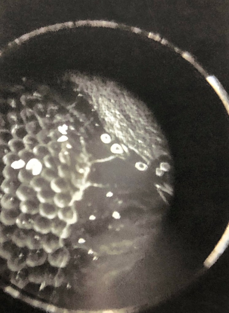 A rectangular image, a circle in the center. Blackness fills the space surrounding the rectangle’s perimeter. A blurry field emerges from the bottom left side of the circle and fades to black. A bright white circle creates the circular plane. In the circle, an arrangement of smaller light gray circles glow in clusters. There is a stripey gray texture around them, almost like ridges.