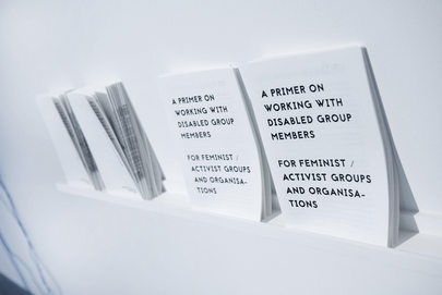 Copies of "A Primer on Working with Disabled Group Members for Feminist/Activist Groups and Organisations" displayed on a shelf.