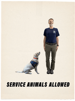 yellow labrador with service animal vest looking attentively at tall white man with text "service animals allowed"